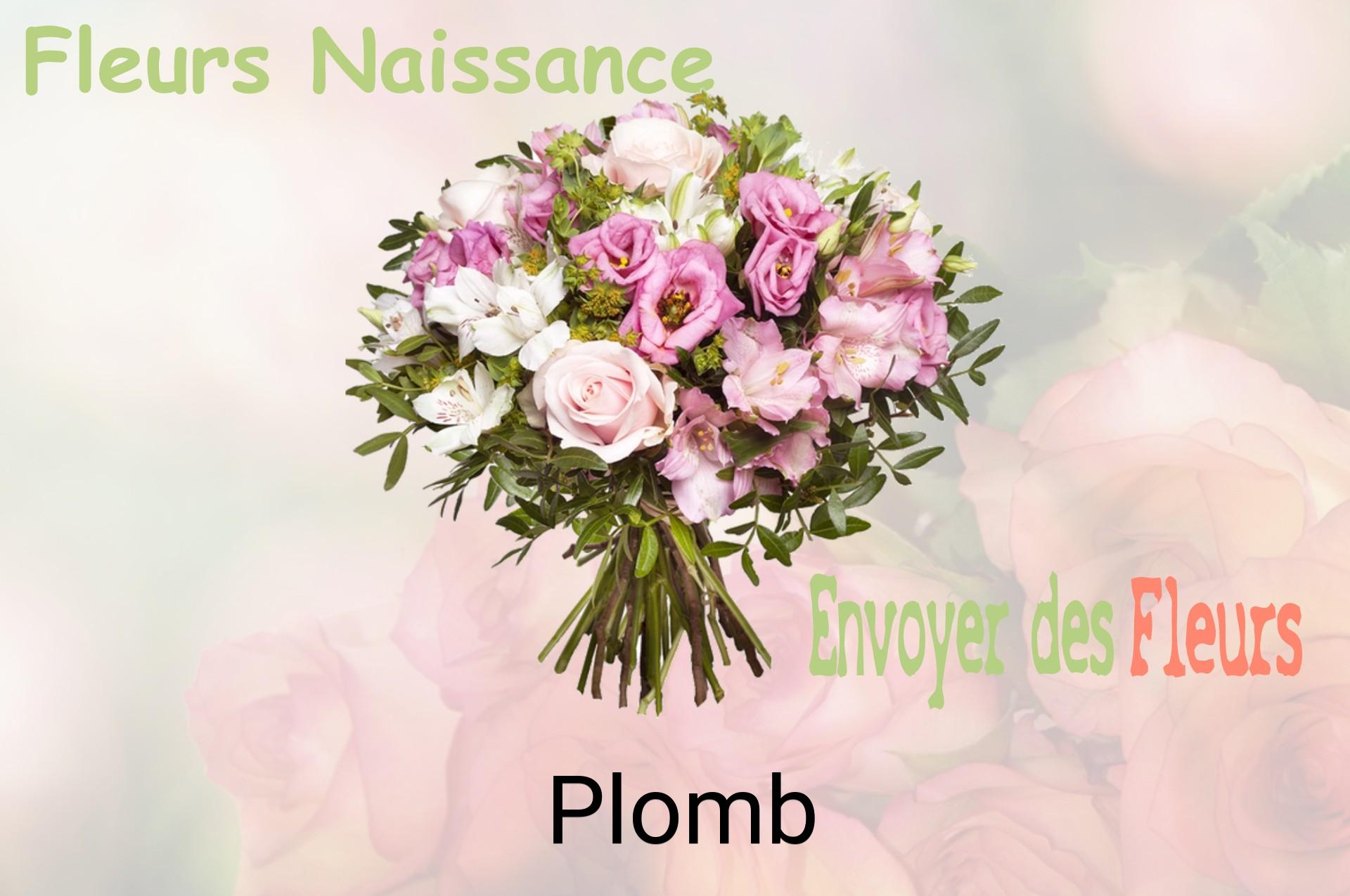 Bouquet de fleurs de naissance livré à Plomb