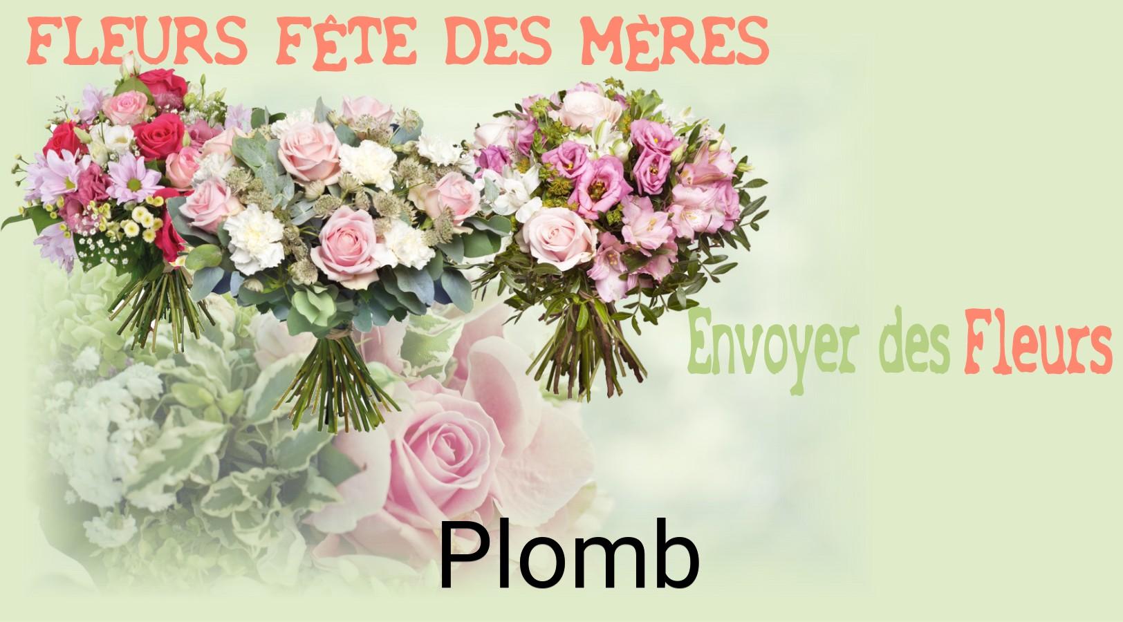 Bouquet de Fête des Mères livré à Plomb